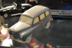 DSC_1100 (87).JPG
