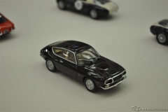 DSC_1100 (670).JPG