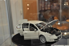 DSC_1100 (883).JPG