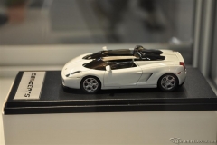 DSC_1100 (643).JPG