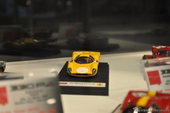 DSC_1100 (760).JPG