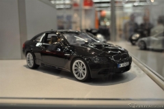DSC_1100 (64).JPG