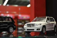 DSC_1100 (841).JPG