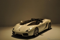 DSC_1100 (797).JPG