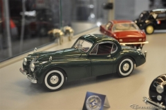 DSC_1100 (70).JPG