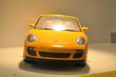 DSC_1100 (810).JPG