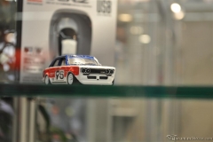 DSC_1100 (600).JPG