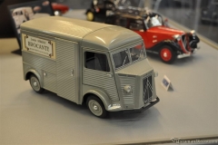 DSC_1100 (74).JPG