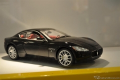 DSC_1100 (787).JPG