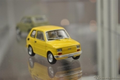 DSC_1100 (695).JPG