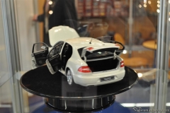 DSC_1100 (881).JPG