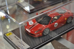 DSC_1100 (719).JPG
