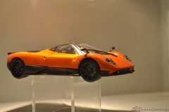 DSC_1100 (800).JPG