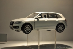 DSC_1100 (809).JPG