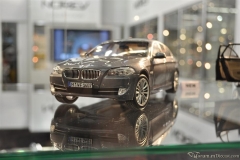 DSC_1100 (585).JPG