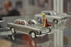 DSC_1100 (672).JPG
