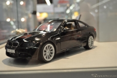 DSC_1100 (65).JPG