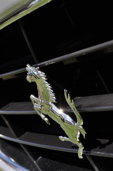 DSC 1550