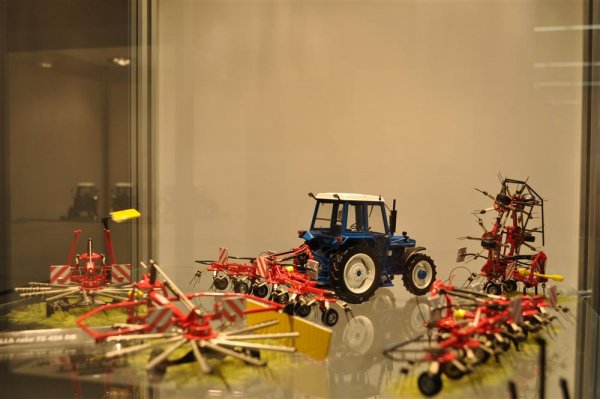 DSC 0248