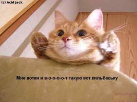 post-234-0-73222500-1326652981_thumb.jpg