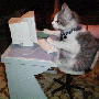 post-8847-0-97231100-1516150682_thumb.gif
