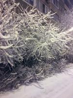 post-9105-0-59797500-1517415247_thumb.jpg