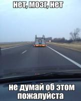 post-9403-0-53672300-1391497813_thumb.jpg