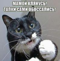 post-10199-0-68104500-1454405918_thumb.jpg
