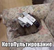 post-8749-0-81211200-1364421701_thumb.jpg