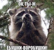 post-7623-0-43038700-1522101371_thumb.jpg
