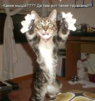 post-9541-0-78222000-1396685936_thumb.jpg