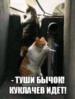 post-9807-0-26152500-1459838551_thumb.jpg