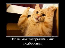 post-32-0-61795400-1491467744_thumb.jpg