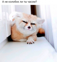 post-9312-0-17382000-1493311553_thumb.png