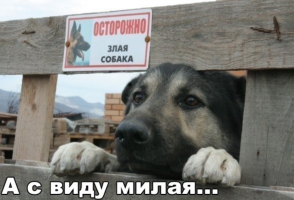 post-9312-0-71931500-1493311581_thumb.png