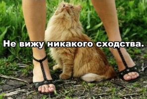 post-7858-0-10162800-1369719306_thumb.jpg