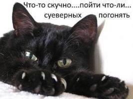 post-10199-0-50636600-1463158021_thumb.jpg