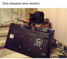 post-9312-0-42014600-1496087438_thumb.png