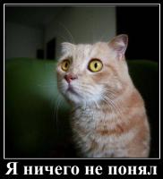 post-8818-0-25433200-1403164623_thumb.jpg