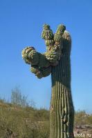 post-8818-0-31204800-1402671395_thumb.jpg