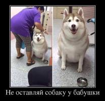 post-32-0-02392100-1466506685_thumb.jpg
