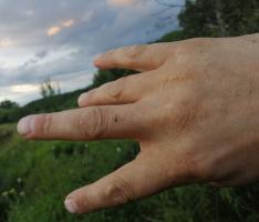 post-9547-0-45227900-1562424847_thumb.jpg