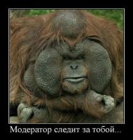 post-6602-0-13672900-1315857684_thumb.jpg