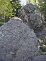 post-8214-0-62318000-1380139040_thumb.jpg