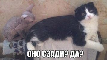 post-32-0-57476600-1441917490_thumb.jpg