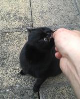 post-9454-0-83142800-1504293252_thumb.jpg