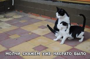 post-10199-0-12821800-1444400402_thumb.jpg