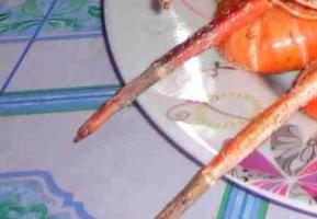post-9454-0-20216900-1416006223_thumb.jpg