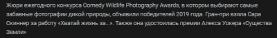 post-8847-0-33419500-1573595827_thumb.png