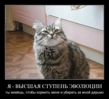 post-7488-0-20809000-1387534950_thumb.png